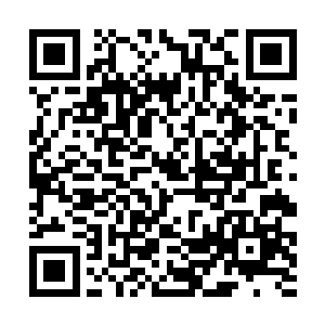 墨景瑜一推开厢房的门便看到了坐在里面的布衣男子二维码生成