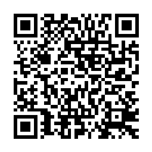 墨景祈确实是想不到还有什么人能对付得了大权在握的墨景黎二维码生成