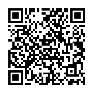 墨景黎也觉得那个样子的叶璃绝不会比现在的叶莹更愚蠢二维码生成