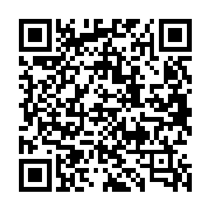 墨景黎和东方幽的婚事在东方幽万分不愿中依然如期举行了二维码生成