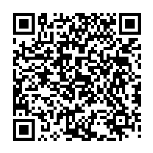 墨景黎神色扭曲满脸蓬勃的怒意让即使是最受宠的栖霞公主也不敢靠近半分二维码生成
