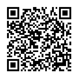 墨荷取出一块仙晶啪嗒一下按到了传送门的凹痕中二维码生成