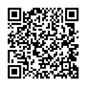 墨菲斯家族两兄弟谋划着着自以为隐秘的翻盘计划的时候二维码生成