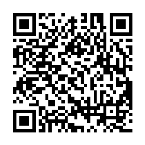 墨麒从空中降落在一片冒着浓浓的毒障的黑暗沼泽地前二维码生成