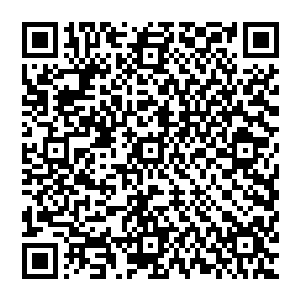 壁   壁壁   壁  壁壁壁壁壁壁壁   壁    壁    壁     壁    壁二维码生成