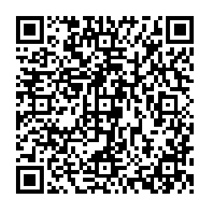 士兵们将汹涌而来却无论如何都在人数和阵型上占下风的登城者们有条不紊地砍杀在地二维码生成