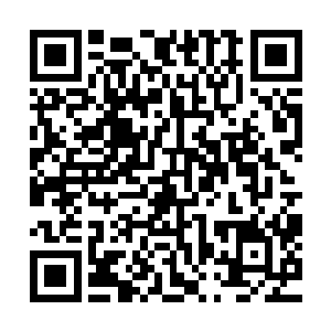 壮汉将李清拖到了木架子底下自顾自的去整理木架子上的绳子二维码生成