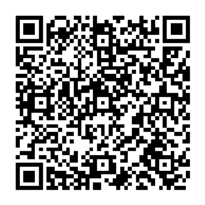 处在了弱势的林封谨很心痛的答应了崔王女二十颗龙气珠和两百名草原侍卫的要求二维码生成