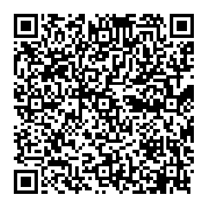 处处都是闪亮的夜明珠 颗颗拳头大小 折射的光芒让整个水晶宫宛如白昼 但在同时又不会感到刺眼 相反格外的温暖二维码生成