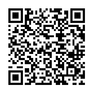 夏传福和泰文卫详细的向欧阳志远汇报了海阳不冻港的建设进程二维码生成