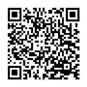 夏天一定是使用什么特殊的手法将储物装备给储藏起来了二维码生成