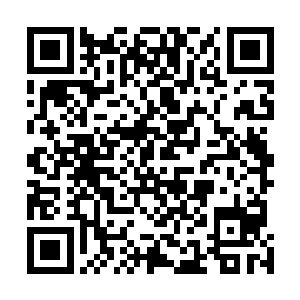 夏天之前是真的很不想现在就和这个人门门主发生碰撞的二维码生成