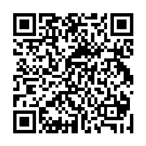 夏天和王宝之间十多年的恩怨到现在也算是彻底的了结了二维码生成