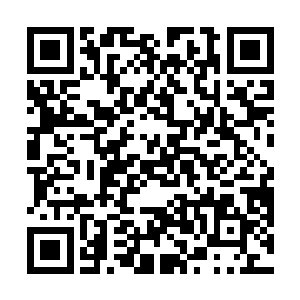 夏天和这几个人已经算是一起经历过好几次生死的人了二维码生成