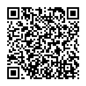 夏天完成了c级任务之后第二天的f级任务已经全都奖励给第一百组了二维码生成