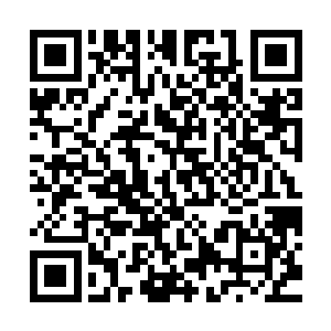 夏天已经可以硬生生的靠灵石和丹药砸出无数的三鼎以上高手了二维码生成