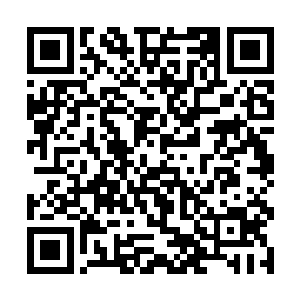 夏天现在的实力在神州已经算是非常强大的那一种了二维码生成