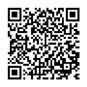 夏天的强势早就让人看不惯了可是他们还拿夏天没有任何的办法二维码生成