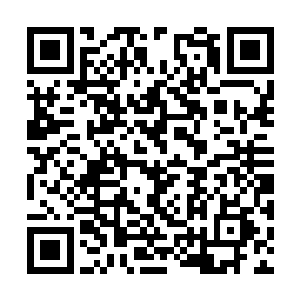 夏天的战斗理念是他从无数次生死之间总结出来的二维码生成