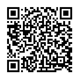 夏天的表现也是让他们感觉到了接下来会来的人是多么的不简单二维码生成