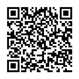 夏天的这个举动显然是已经让他们无法控制住自己的怒火了二维码生成