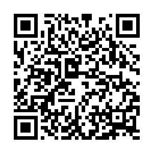 夏天绝对无法计算那条线上的战兽攻击速度和角度二维码生成