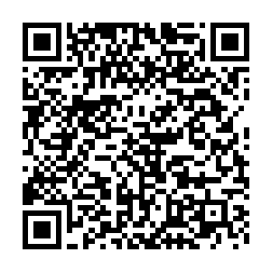 夏天萌画完抬头的时候看见的便是夏天宇没有表情认真看文件的侧脸二维码生成