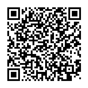 夏天萌真的存在在这个世界才明白修为对于一个修士而言有多么重要二维码生成