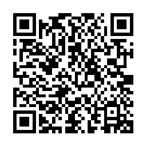 夏荷慧也抱住丁二狗的头颅主动的伸出小香舌任由丁二狗吸吮着二维码生成