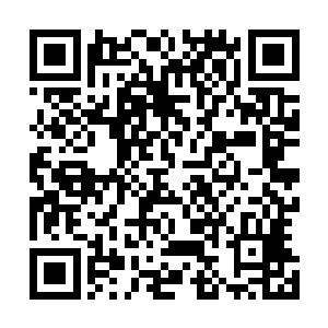 外人投过来的欣赏和羡慕的目光也让妮娜觉得与有荣焉……二维码生成