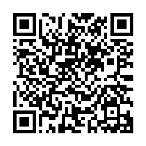 外海的顶尖巨头的宗主面对内海顶尖巨头的宗主多少有些客气二维码生成