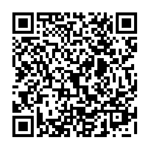 外面的世界=觉醒者收到主程序约束=强制性参加副本=不参加就会收到惩罚二维码生成