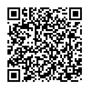 外面的修复的力量跟体内的狂暴的能量已经达到了一种动态的平衡二维码生成