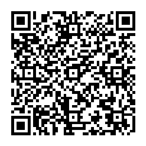 外面的围观群众都用一种……非常非常诡异的目光看着屏幕里那位漂亮到极致的姑娘二维码生成
