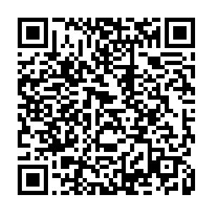 多半还在周围游荡着……或许等到他跟碎尸拳魔特里内特的战斗有了结果二维码生成