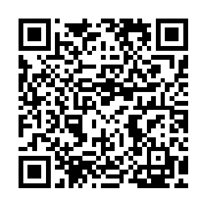 多少人……都想在……这时候……将你踩下去……你就不怕……二维码生成