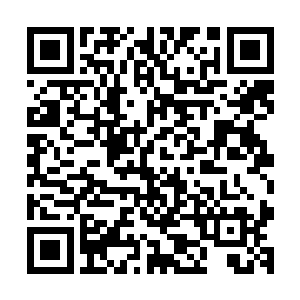 多少留他一条小命……别让那些家族和宗派看了咱散修的笑话二维码生成