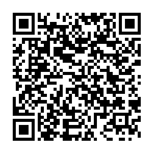 多年在学校里接受的半军事化的教育在这个时候开始显现出一点作用二维码生成