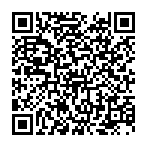 多年没有见面的秦老爷子和白老爷子并没有讨论什么家族大事商业机密二维码生成