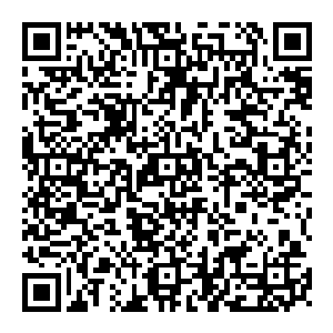 多数正在冲击金丹之境或者刚到金丹初期或中期的排在梵字的小辈们更是伸长了脖子――结婴之境就像生在在彼岸的繁花二维码生成