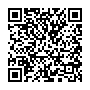 多数都是海纳博物馆的大主顾们捐献出来用于支持慈善事业的二维码生成