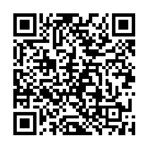 多时的消耗战已经让双方的仇恨积蓄到了一个爆发的顶点二维码生成