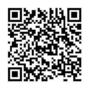 多次因为演唱会的暴动无法控制而被迫宣布演唱会取消二维码生成