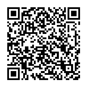 多罗西基本上是可以成功的……毕尔巴多斯即便实力达到了至尊境中期二维码生成