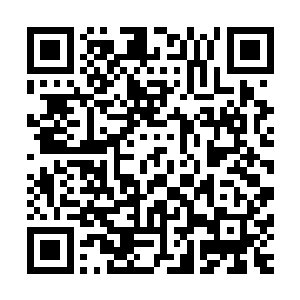 夜家主为首的一众夜家人都在小心翼翼的看着夜染的一举一动二维码生成