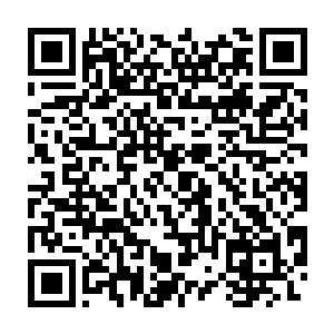 夜染右手心散发出来的黑色力量已经不知道吞噬了多少海妖兽的精元二维码生成