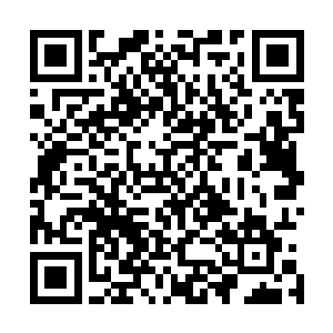夜染甚至可以想象今晚的场面也绝不会比明晚的宴会差多少二维码生成
