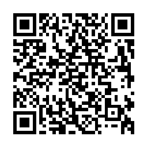 夜辜星连跳两级直接毕业的提议终究还是让一众校领导为难了二维码生成