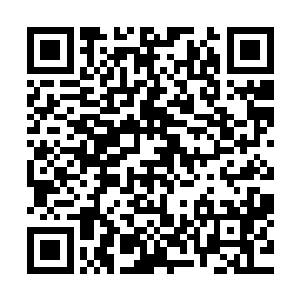 夜鬼和异人尊也是第一时间使用自己的力量去拖住上古火凤凰二维码生成
