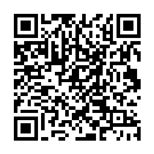 大不了以后找些补血和增加寿命的丹药服用弥补一下就行了二维码生成